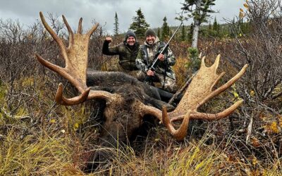 Polowanie na łosie w Kanadzie – Jukon